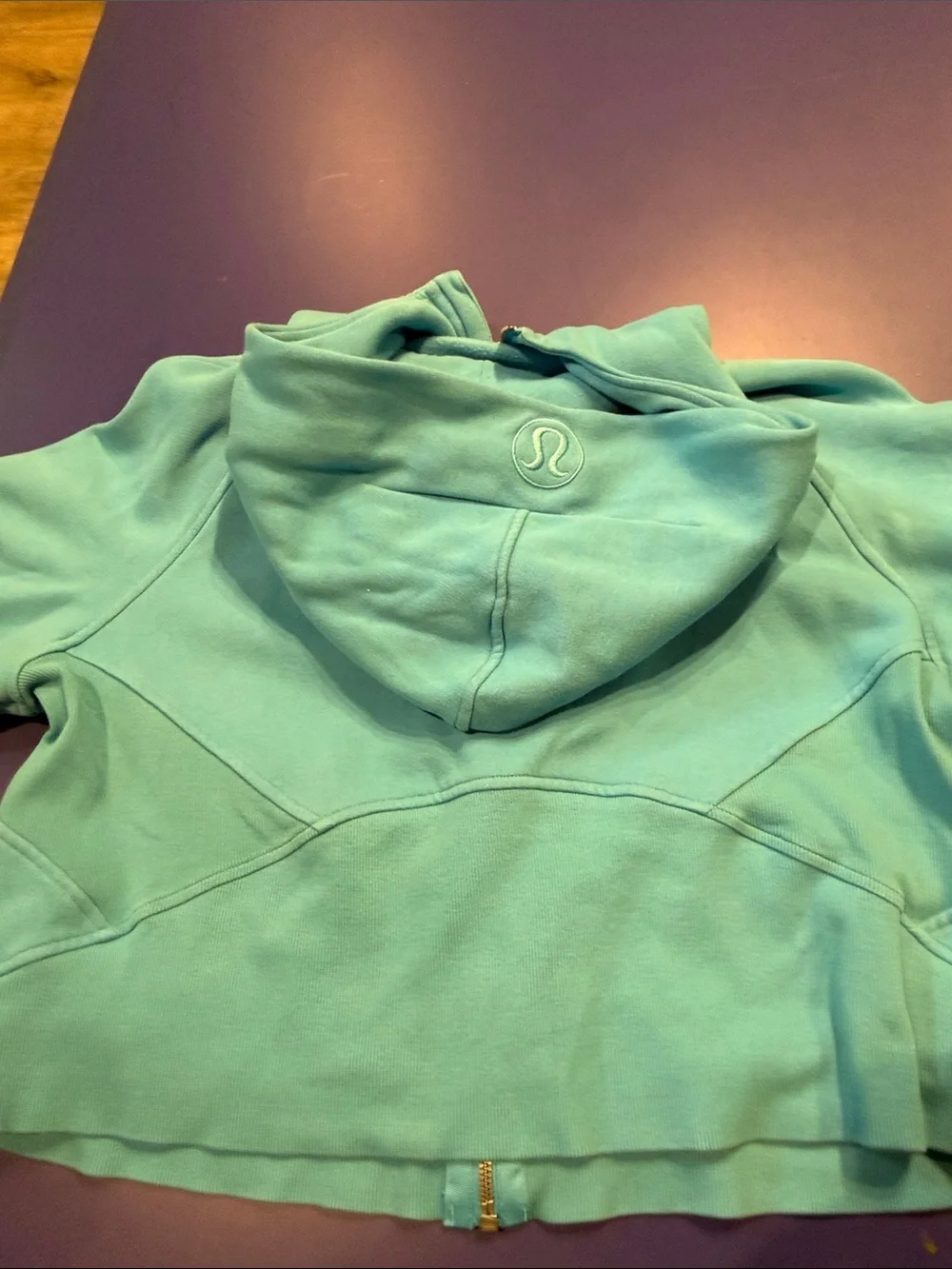 Light Blue Zip-Up Hoodie with Hood